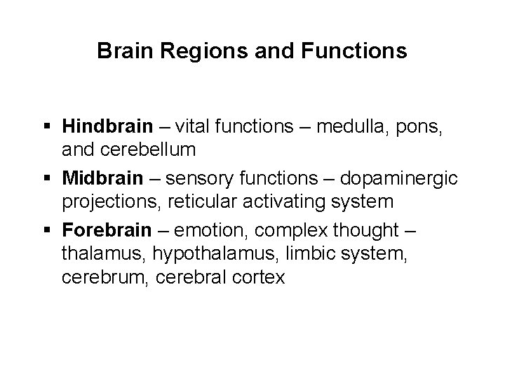 Brain Regions and Functions § Hindbrain – vital functions – medulla, pons, and cerebellum
