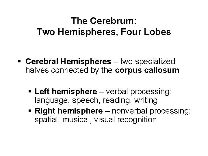 The Cerebrum: Two Hemispheres, Four Lobes § Cerebral Hemispheres – two specialized halves connected