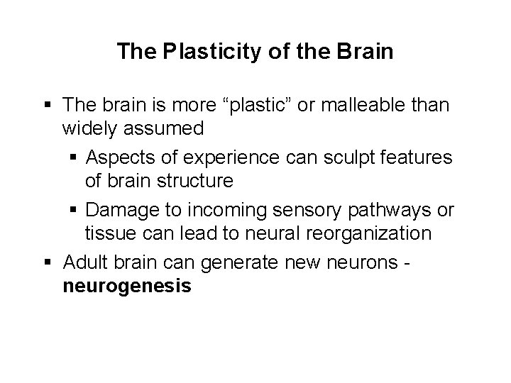 The Plasticity of the Brain § The brain is more “plastic” or malleable than