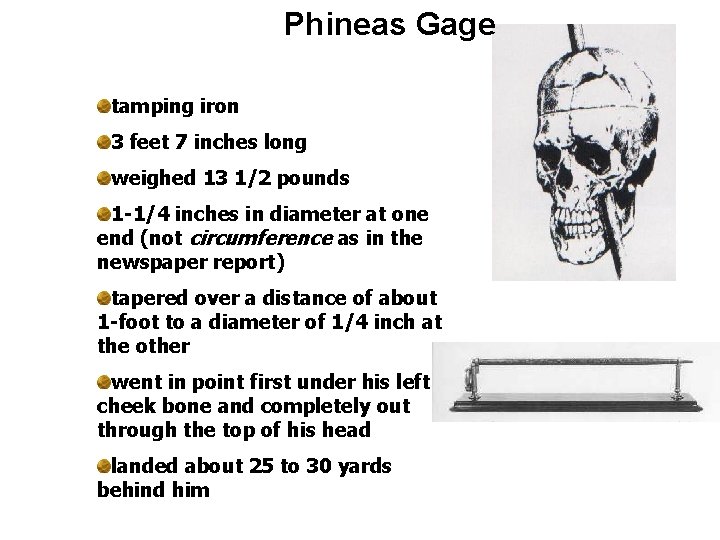 Phineas Gage tamping iron 3 feet 7 inches long weighed 13 1/2 pounds 1