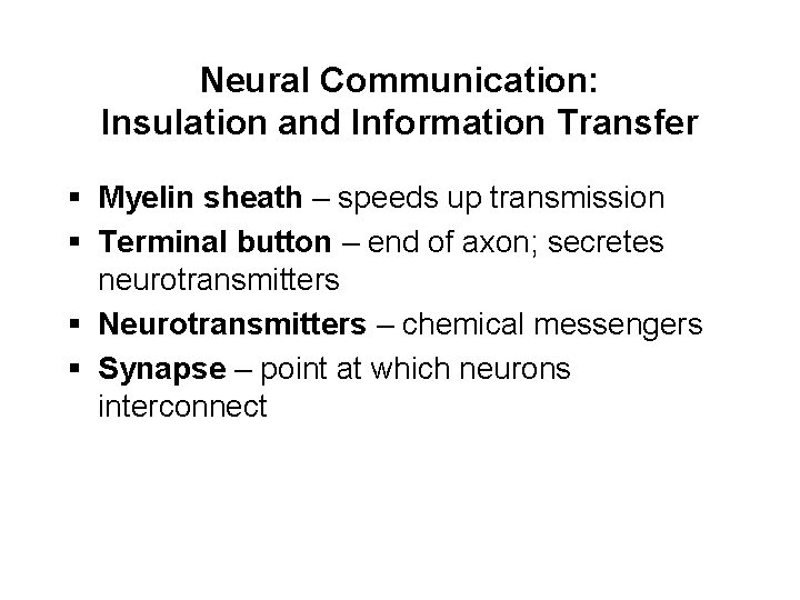 Neural Communication: Insulation and Information Transfer § Myelin sheath – speeds up transmission §