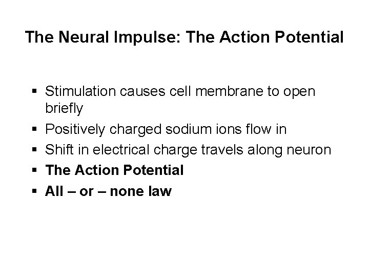 The Neural Impulse: The Action Potential § Stimulation causes cell membrane to open briefly