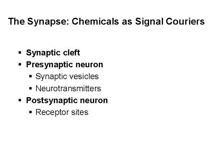 The Synapse: Chemicals as Signal Couriers § Synaptic cleft § Presynaptic neuron § Synaptic