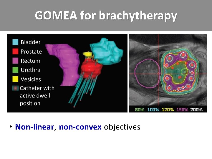 GOMEA for brachytherapy • Non-linear, . non-convex. objectives 