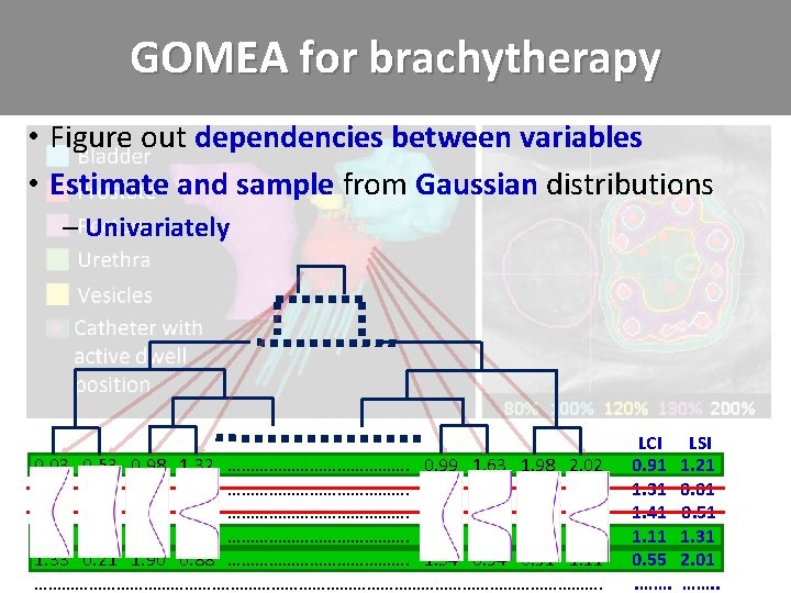 GOMEA for brachytherapy • Figure out dependencies between variables • Estimate and sample from