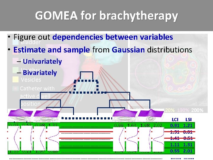 GOMEA for brachytherapy • Figure out dependencies between variables • Estimate and sample from