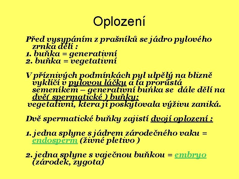 Oplození Před vysypáním z prašníků se jádro pylového zrnka dělí : 1. buňka =