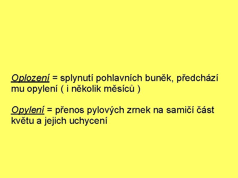 Oplození = splynutí pohlavních buněk, předchází mu opylení ( i několik měsíců ) Opylení