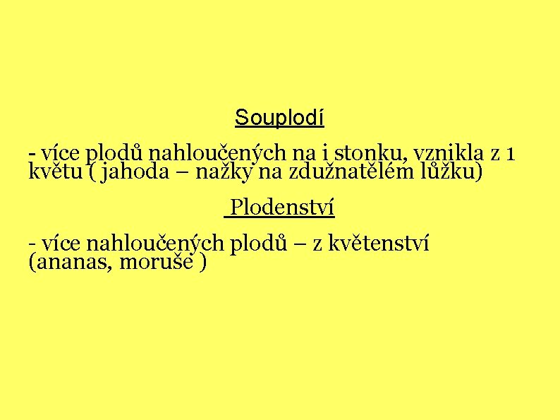 Souplodí - více plodů nahloučených na i stonku, vznikla z 1 květu ( jahoda