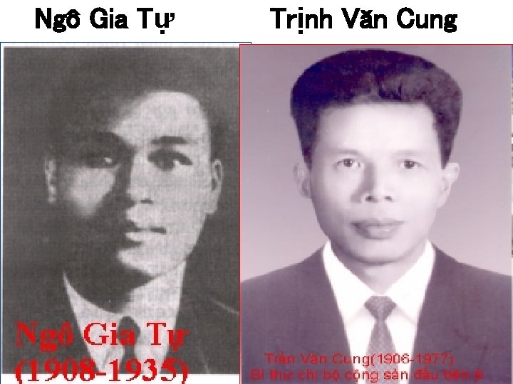 Ngô Gia Tự Trịnh Văn Cung 