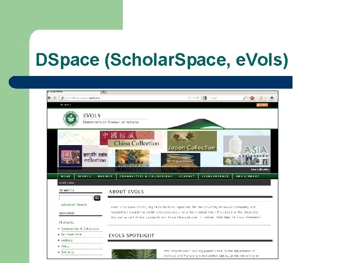 DSpace (Scholar. Space, e. Vols) 