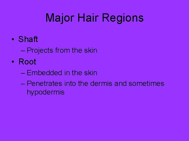 Major Hair Regions • Shaft – Projects from the skin • Root – Embedded