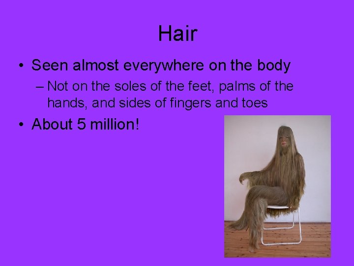 Hair • Seen almost everywhere on the body – Not on the soles of