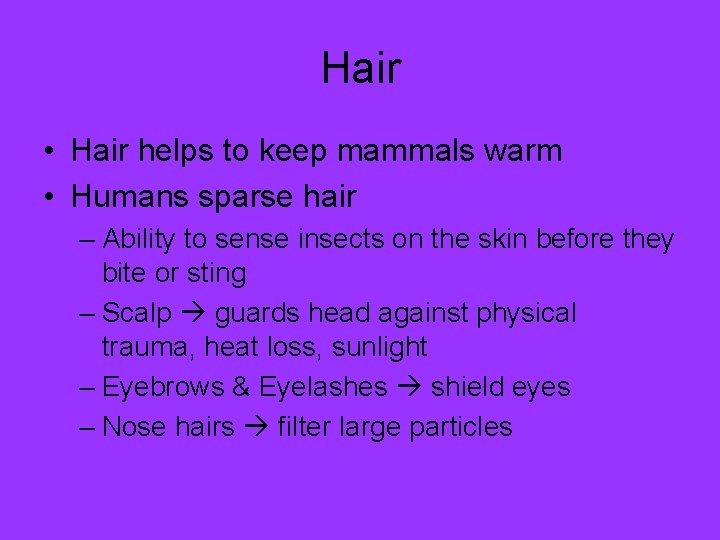 Hair • Hair helps to keep mammals warm • Humans sparse hair – Ability