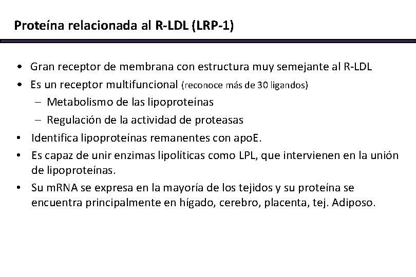 Proteína relacionada al R-LDL (LRP-1) • Gran receptor de membrana con estructura muy semejante