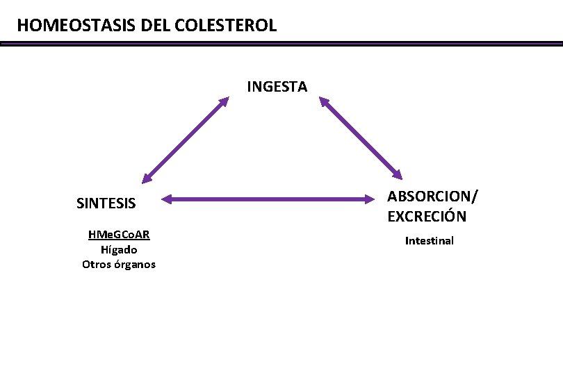 HOMEOSTASIS DEL COLESTEROL INGESTA SINTESIS HMe. GCo. AR Hígado Otros órganos ABSORCION/ EXCRECIÓN Intestinal