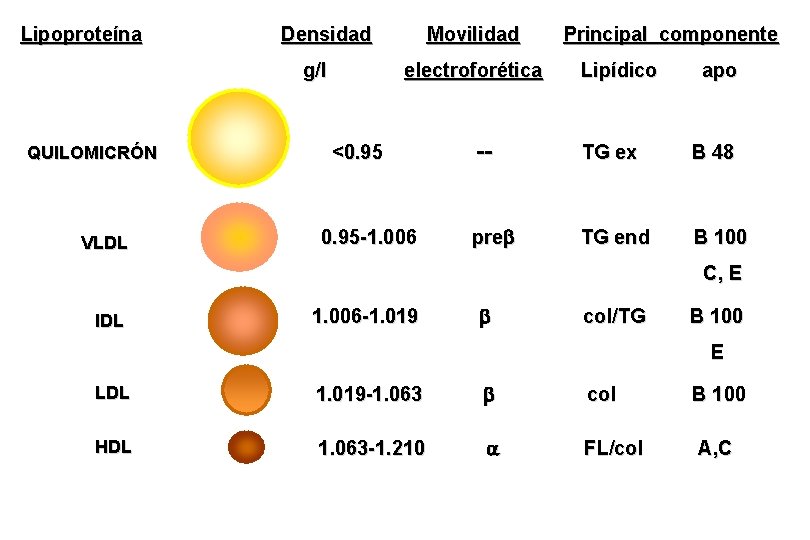 Lipoproteína Densidad g/l QUILOMICRÓN VLDL Movilidad electroforética <0. 95 -1. 006 Principal componente Lipídico