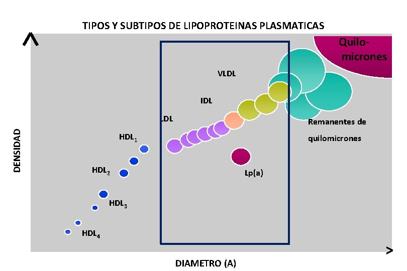 TIPOS Y SUBTIPOS DE LIPOPROTEINAS PLASMATICAS Quilomicrones VLDL IDL DENSIDAD LDL Remanentes de HDL