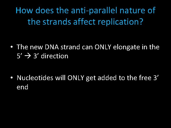 How does the anti-parallel nature of the strands affect replication? • The new DNA