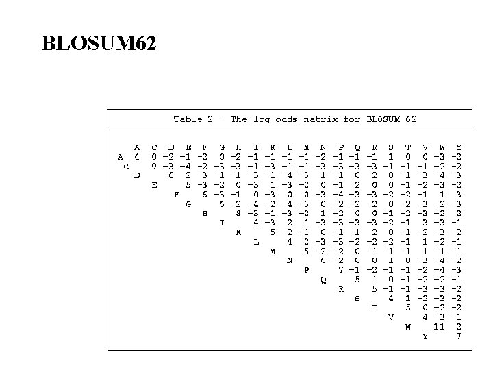 BLOSUM 62 