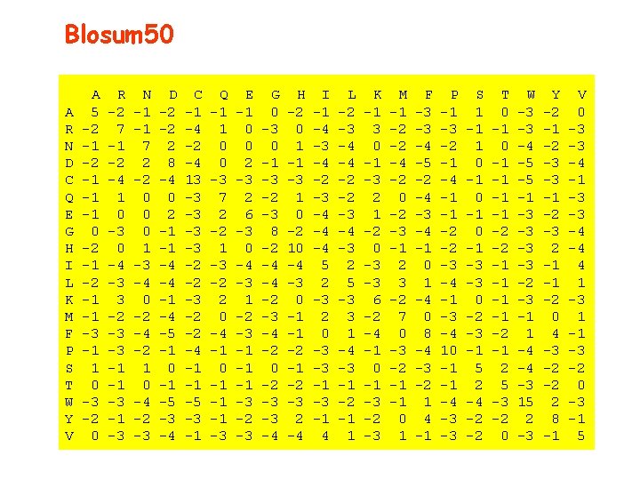 Blosum 50 A R N D C Q E G H I L K