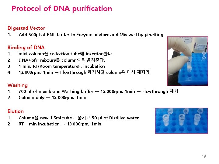 Protocol of DNA purification Digested Vector 1. Add 500µl of BNL buffer to Enzyme