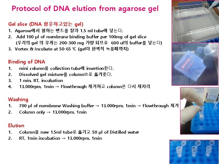 Protocol of DNA elution from agarose gel Gel slice (DNA 함유하고있는 gel) 1. Agarose에서