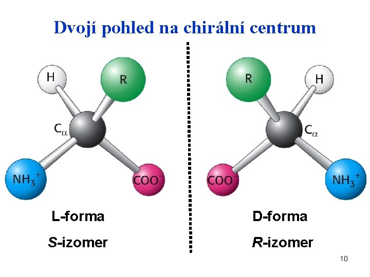 Dvojí pohled na chirální centrum L-forma D-forma S-izomer R-izomer 10 