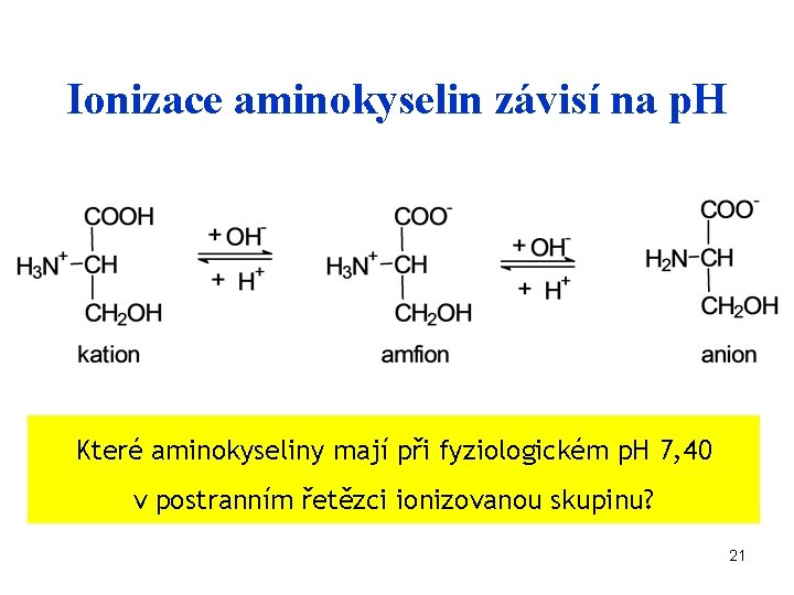 Ionizace aminokyselin závisí na p. H Které aminokyseliny mají při fyziologickém p. H 7,