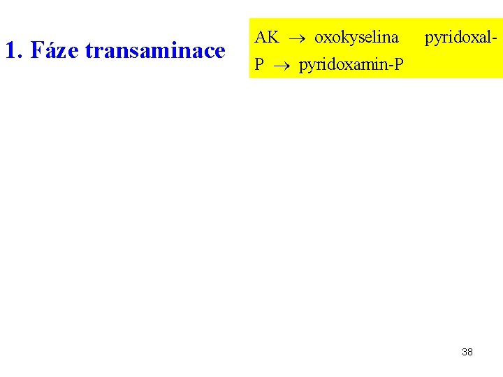 1. Fáze transaminace AK oxokyselina pyridoxal- P pyridoxamin-P 38 