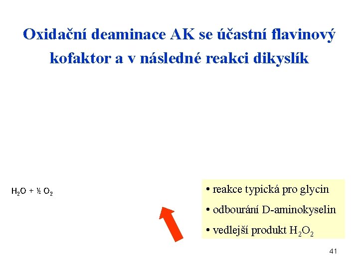 Oxidační deaminace AK se účastní flavinový kofaktor a v následné reakci dikyslík H 2