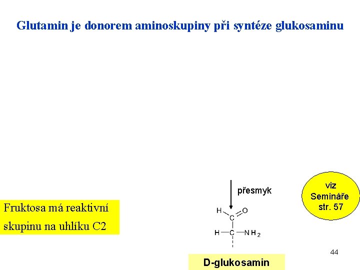 Glutamin je donorem aminoskupiny při syntéze glukosaminu přesmyk Fruktosa má reaktivní viz Semináře str.