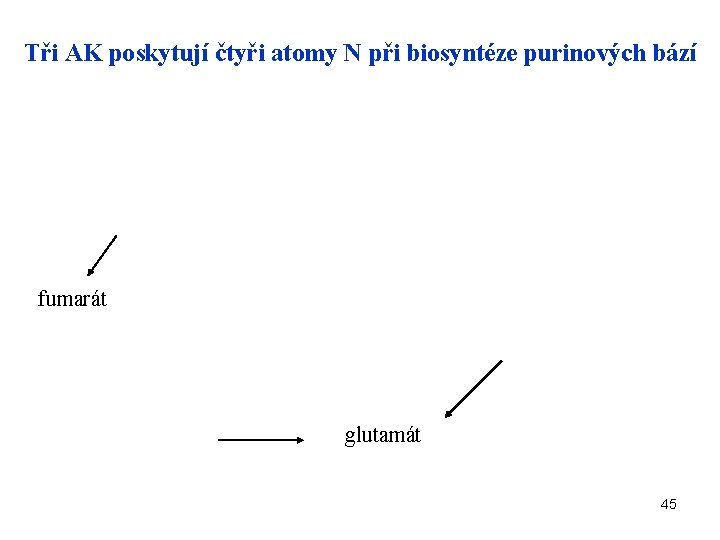 Tři AK poskytují čtyři atomy N při biosyntéze purinových bází fumarát glutamát 45 