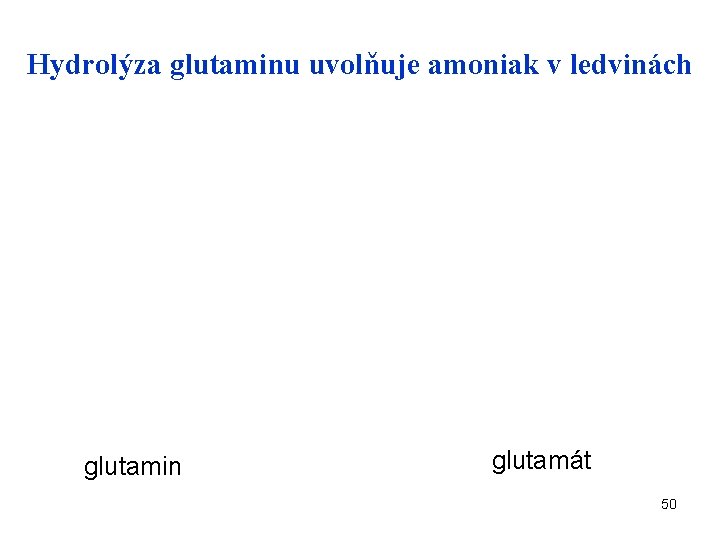 Hydrolýza glutaminu uvolňuje amoniak v ledvinách glutamin glutamát 50 