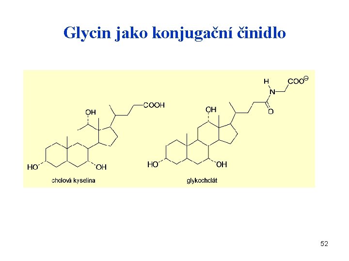 Glycin jako konjugační činidlo 52 