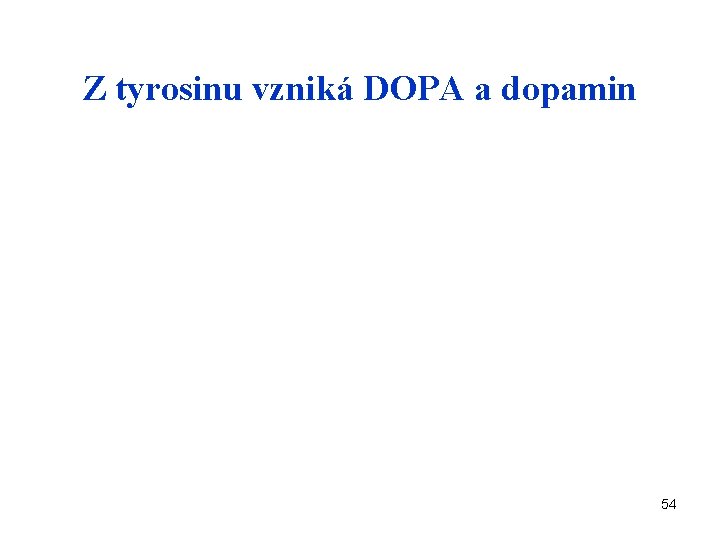 Z tyrosinu vzniká DOPA a dopamin 54 