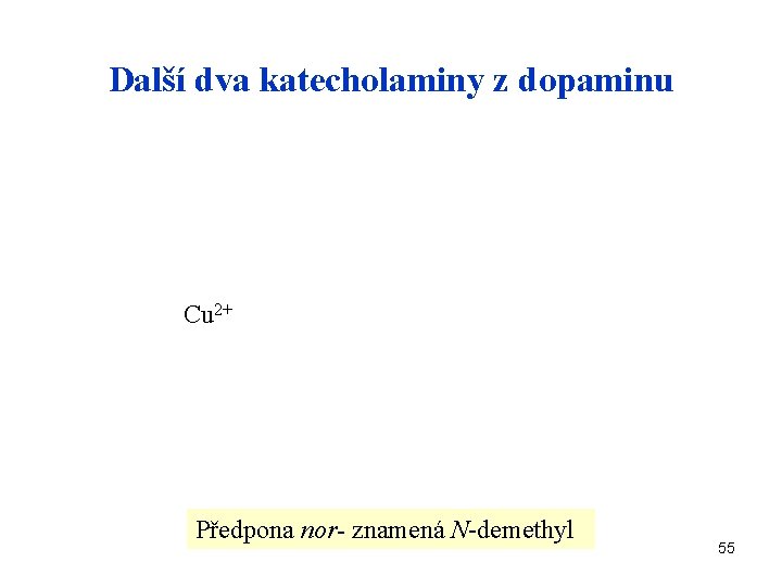 Další dva katecholaminy z dopaminu Cu 2+ Předpona nor- znamená N-demethyl 55 