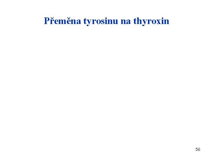 Přeměna tyrosinu na thyroxin 56 