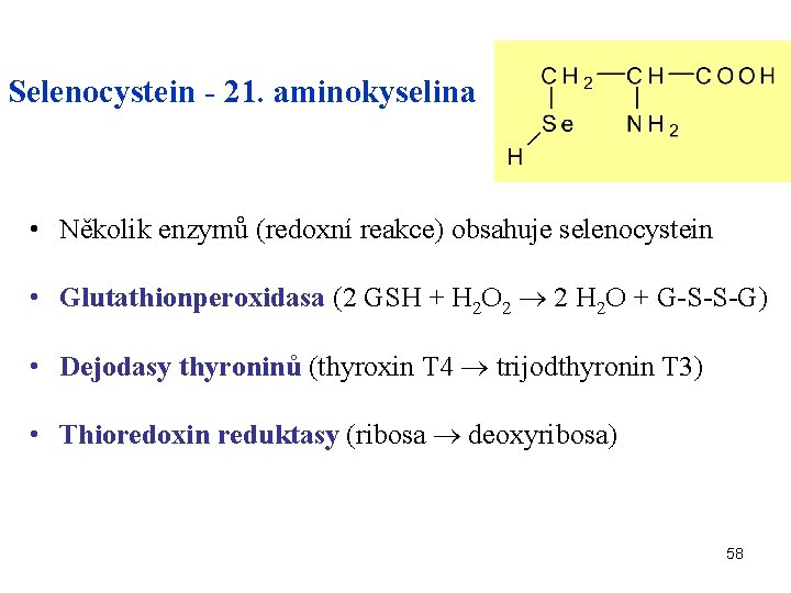 Selenocystein - 21. aminokyselina • Několik enzymů (redoxní reakce) obsahuje selenocystein • Glutathionperoxidasa (2