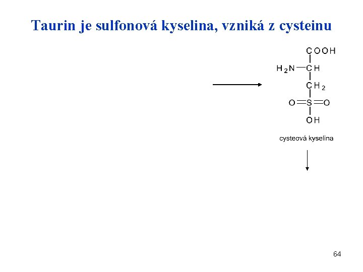 Taurin je sulfonová kyselina, vzniká z cysteinu 64 