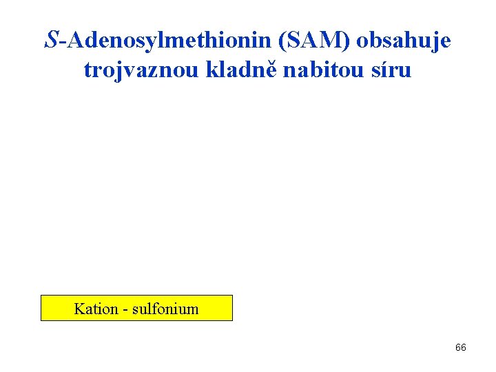 S-Adenosylmethionin (SAM) obsahuje trojvaznou kladně nabitou síru Kation - sulfonium 66 