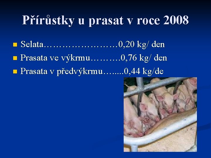 Přírůstky u prasat v roce 2008 Selata………… 0, 20 kg/ den n Prasata ve