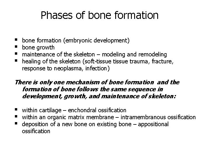 Phases of bone formation § § bone formation (embryonic development) bone growth maintenance of
