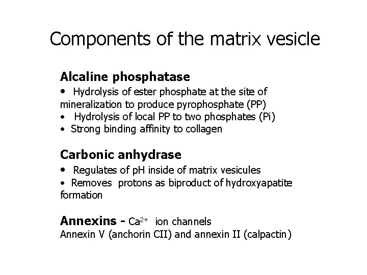 Components of the matrix vesicle Alcaline phosphatase • Hydrolysis of ester phosphate at the