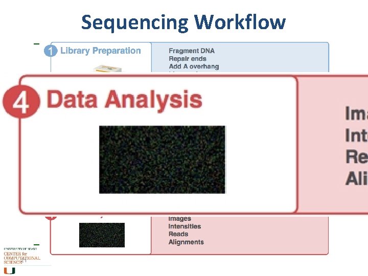 Sequencing Workflow 21 
