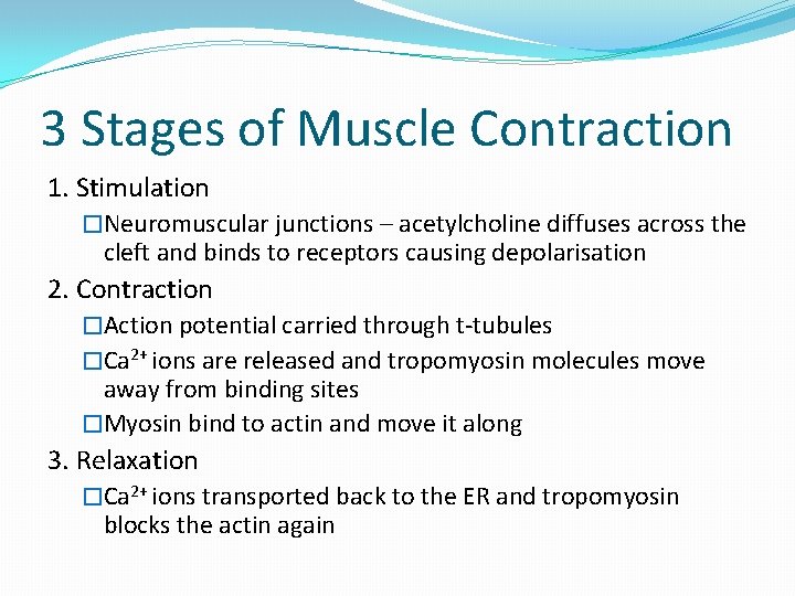 3 Stages of Muscle Contraction 1. Stimulation �Neuromuscular junctions – acetylcholine diffuses across the