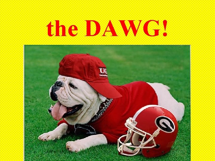 the DAWG! 