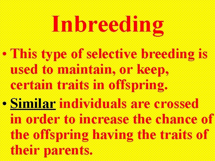 Inbreeding • This type of selective breeding is used to maintain, or keep, certain