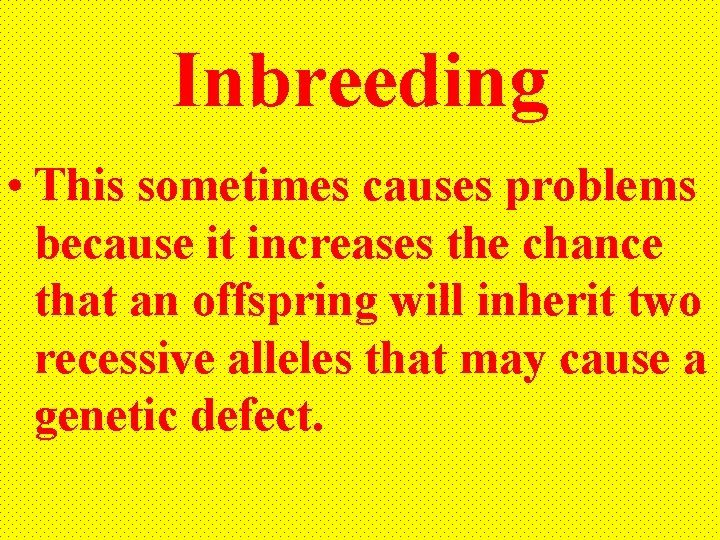 Inbreeding • This sometimes causes problems because it increases the chance that an offspring