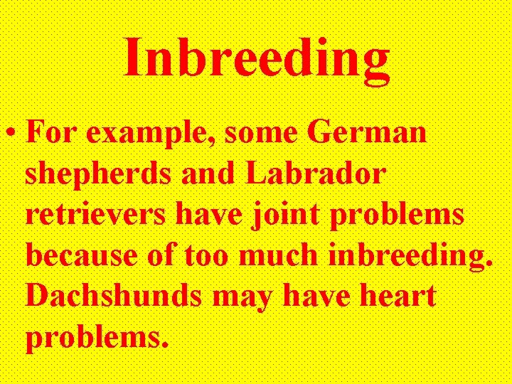 Inbreeding • For example, some German shepherds and Labrador retrievers have joint problems because